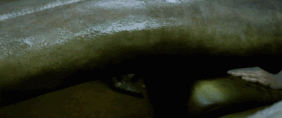 1ce634ce6fd28abeafac8eeea5ffd4d2100e1304.gifv