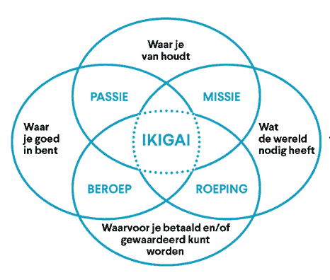 Hoe ziet jouw unieke ikigai-diagram eruit?&nbsp;