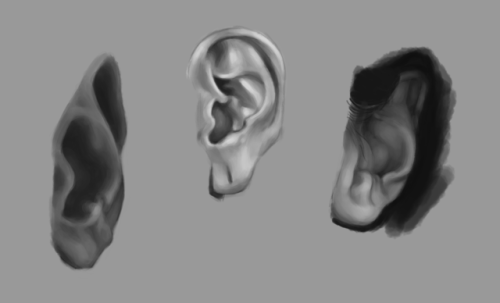 a compilation of the facial feature studies i did for a class- not very exciting, but i learned a lo