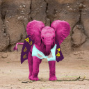 technicolourpachyderm avatar