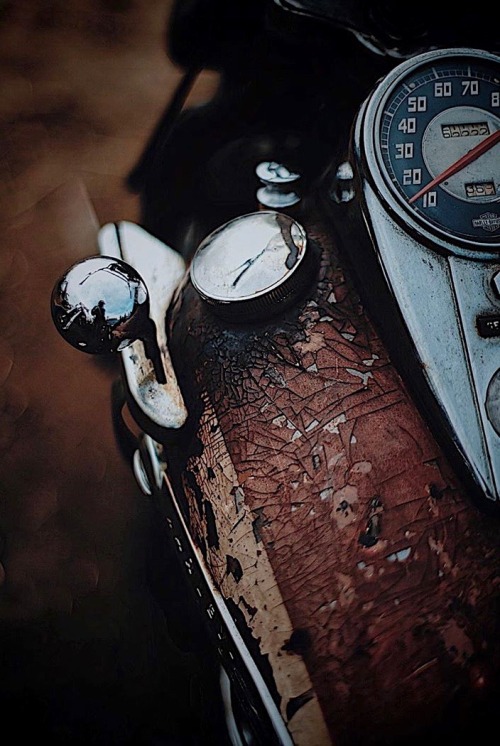 utwo:  Vintage Harley Bobber© A. Watanabe