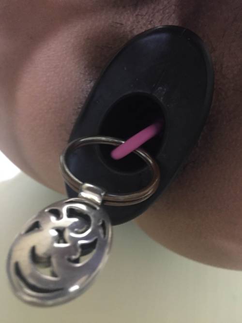 mslwposts:  my new favorite toy for daily use. tunnel plug with anal balls