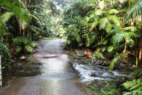oceaniatropics:  protestors falls walking trail, NSW Australia