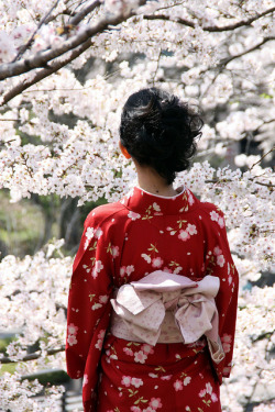 japanoldandnew:  Kyoto 2012-Kimonos-près