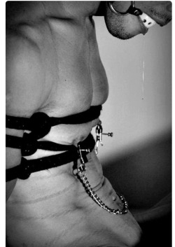 dommetoy:  not-to-be-tamed:  Drool for me.   Please make me.