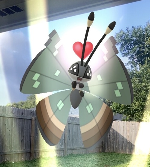 Finally Evolved My 4star Spewpa. Got This Lovely Little Jungle Themed Vivillon. What Should I Name Him?