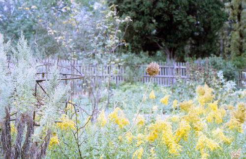 17sailors:  Heide Museum Garden - Melbourne by schorlemädchen on Flickr. 