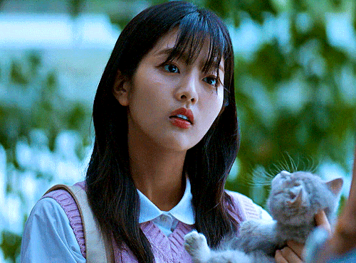 TWINKLING WATERMELON (2023)I Was Worried You'd Be Bored Alone. I Made Sure To Pick Out A Kitty That Looked