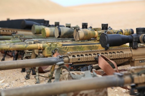 house-of-gnar:  Scout Sniper Platoon, Weapons Company, Battalion Landing Team 3/5, 15th Marine Expeditionary Unit. US Marine Corps photo by Cpl. Timothy Childers/Released 