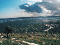 munapalestine:  Bethlehem, Palestine