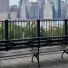  • @nyc.beforeandafter #tb 1957 & today: Looking west across the East River from the Brooklyn Heights Promenade in Brooklyn Heights, Brooklyn..Despite how much the Lower Manhattan has changed over the course of the mid-20th century up to the present,