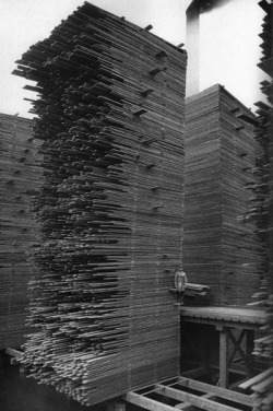 cracked:  This is either the world’s biggest game of Jenga, or else it’s the Seattle Cedar Mill, circa 1919. After cutting logs into planks, wood mills would stack the wood like this to dry it out for up to nine months, because that’s just how wet