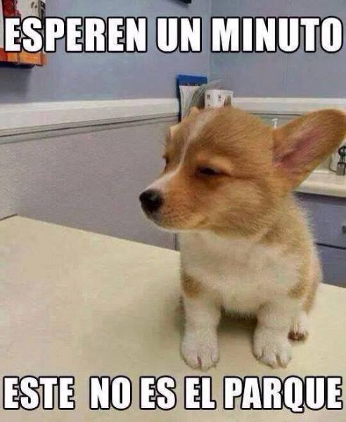 MINIGAG