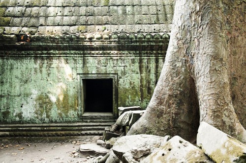 Ta Prohm, Siem Reap, CambodiaFor more of my work, check out kaltosaar.blogspot.com . You can also fo