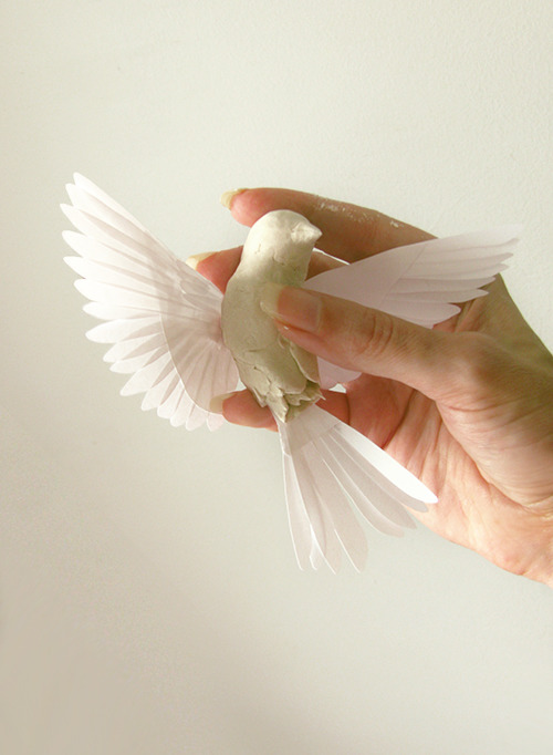 Needed a break so making sparrows 