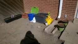 My current set up. I&rsquo;m thinking of planting my gladiolus bulbs along the brick wall come spring. It gets the best full sun. The dark grey tub with the green lid next to it is the compost I&rsquo;ve been making since September. I plan on using a