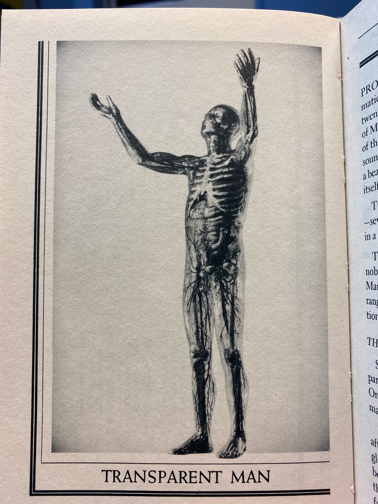 theprofessional-amateur-deactiv:theprofessional-amateur-deactiv:A few of the wild images that came across my desk in the archives today. Most come from this publication The transparent man yelling at the heavens The talking skeleton giving you 👍This