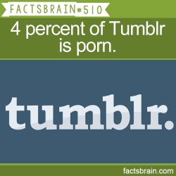 factsbrain:  4 percent of Tumblr is porn. - weird, interesting & funny facts