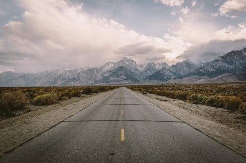 nevver:  Where I am may be lost, Jared Chambers 