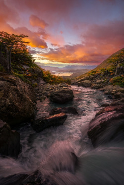 wowtastic-nature:  💙 Patagonian Rhapsody