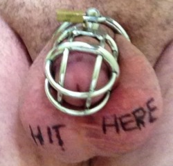  70 days locked up so far. Mistress says another 20 to go maybe. Submitted By: locked up cuckold (http://lockedupcuckold.tumblr.com/)Another Amateur-BDSM.org Exclusive     Please!