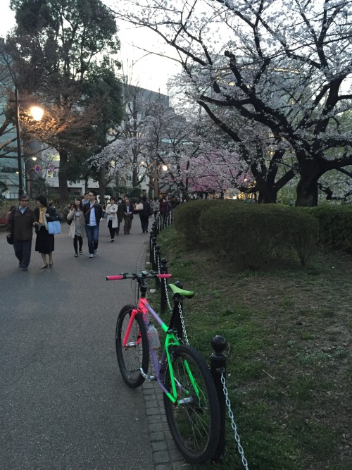 xizang325: 2015/3/28  桜を眺めに都内徘徊 　不忍池かなりの人出だけどまだ乗車可能。