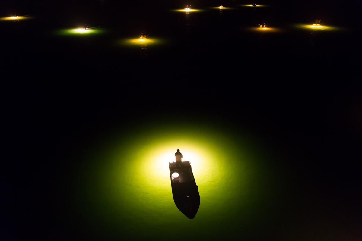 Glass eel fishing season starts in Japan in the winter. Hunters illuminate the water with a mercury lamp from onboard and scoop up eel gathering in the light with a small net. During the new moon, hunters search for glass eel and wander about with...