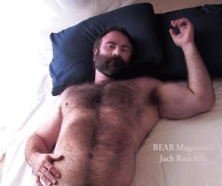 bearinky:  (via Even more Daddy bears and