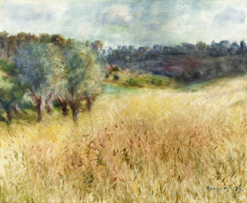 Wheatfield, Pierre-Auguste Renoir, 1879Oil on canvas50.5 x 61 cm (19.88 x 24.02 in.)Museo Nacional T