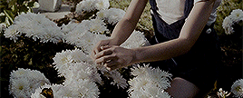 Nicholas Hoult