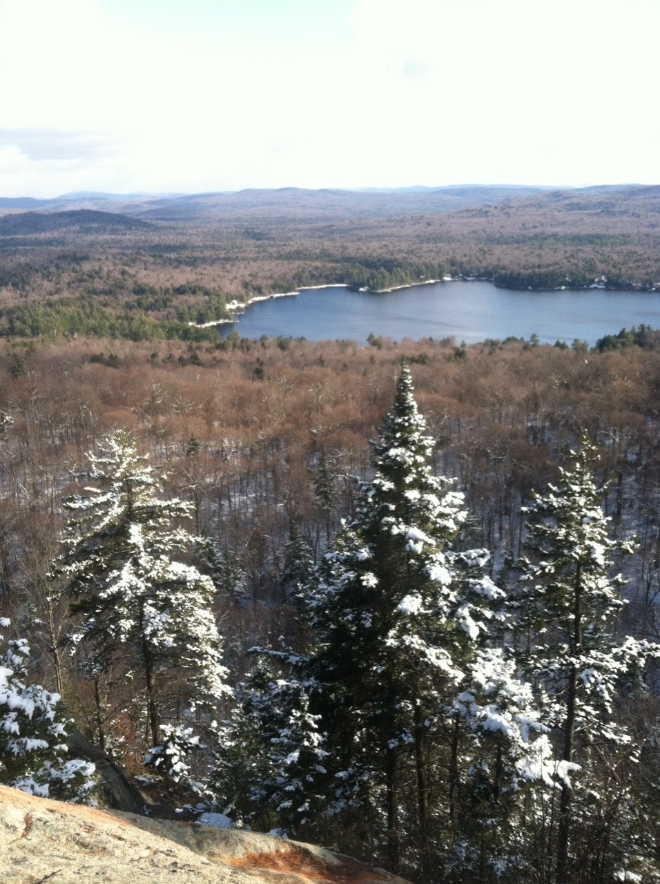 vegan-farts:  a-moviescript-ending:  Hiked to the top of a mountain to propose. She