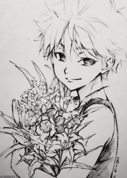 flamefly:        ☆ Killua Zoldyck   Sketches