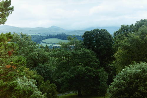 Penrhyn Castle, Gwynedd, North Wales (17-8-21)