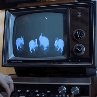 a gif of four light blue rabbits glitching up and down inside a tv screen.