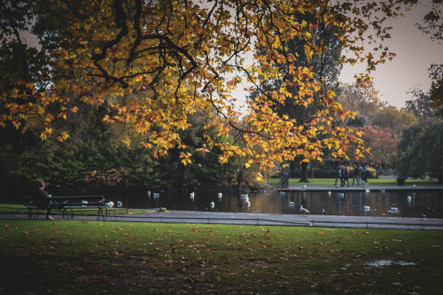 St. Stephen’s Green, Dublin