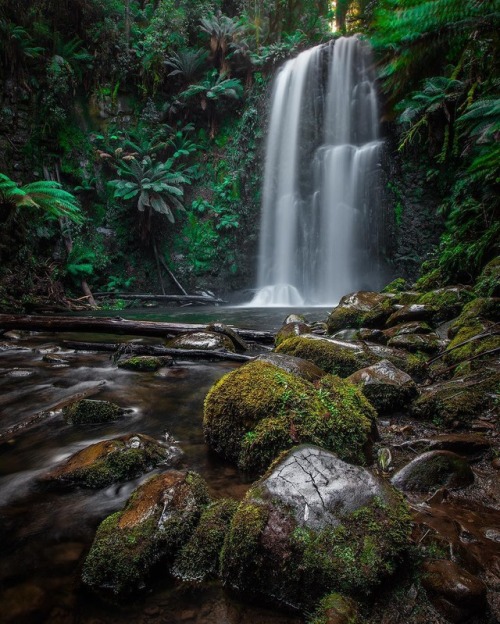 cozu325: quiet-nymph:  Photography by  Jason 😎 Hobart, Tasmania 📸     F9547 