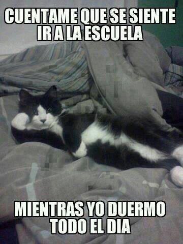 Bien CTM - CONCHETUMARIZANDO TU DÍA