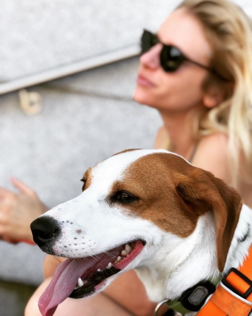 Nothing beats these dog days of summer, like some good puppers on our Plaza! Post your doggos, floof