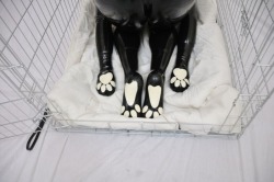 leathercrow:  foxy-zeff:  These are awesome! I can’t express how much I want these in my life right now! The fun that could be had!   Awwwe, rubber paw pads 