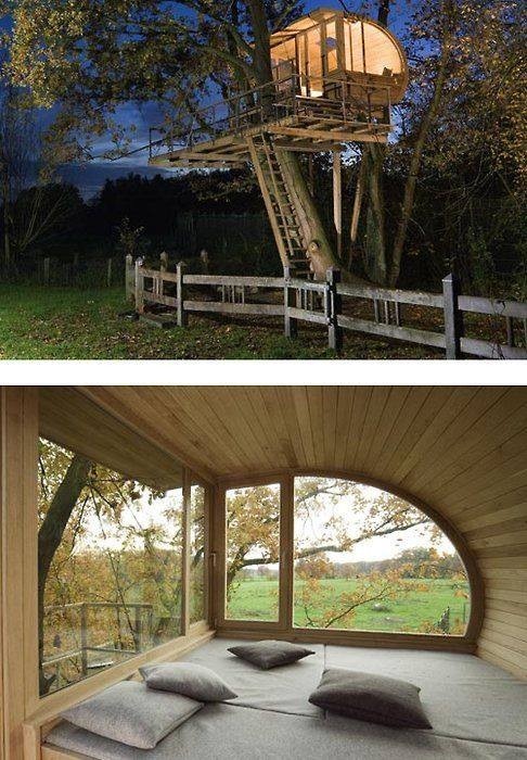 amzmom - Now that’s a cool tree house!