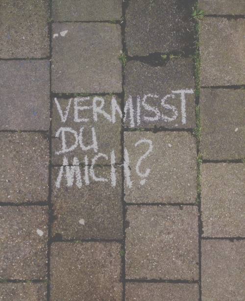 regenblatt:  sagst mir, bitte.