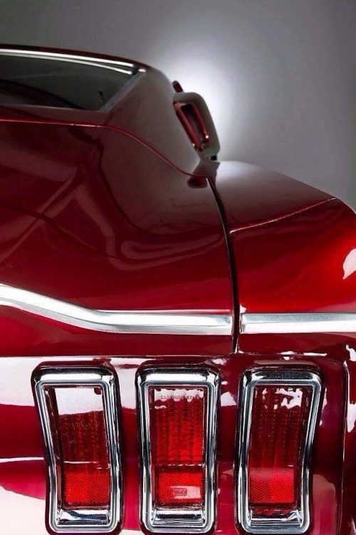 musclecarsfans:Follow For Muscle Cars Everyday