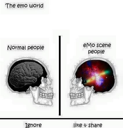 dookiediamonds:  I agree.