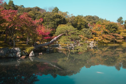 Inside the Tenryu-ji Temple and Sogenchi GardenArashiyama, Kyoto, JapanBlogged: bit.ly/2SytG