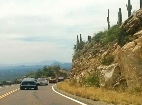 speedgato:Datsun Southwest likes the road trip. 