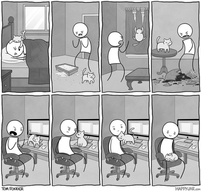lurkdusoleil:  glitterdammerung:  jeniphyer:  pr1nceshawn:  What it’s like to have