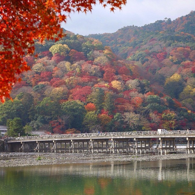 kittinew:
“ Now in Arashiyama #autumn #arashiyama #kyoto #japan (at 渡月橋 / Togetsukyo Bridge, Arashiyama, Kyoto)
”