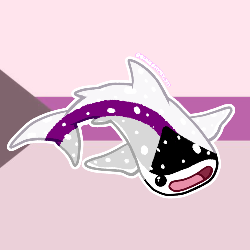 Whale Shark Pride Pt.3