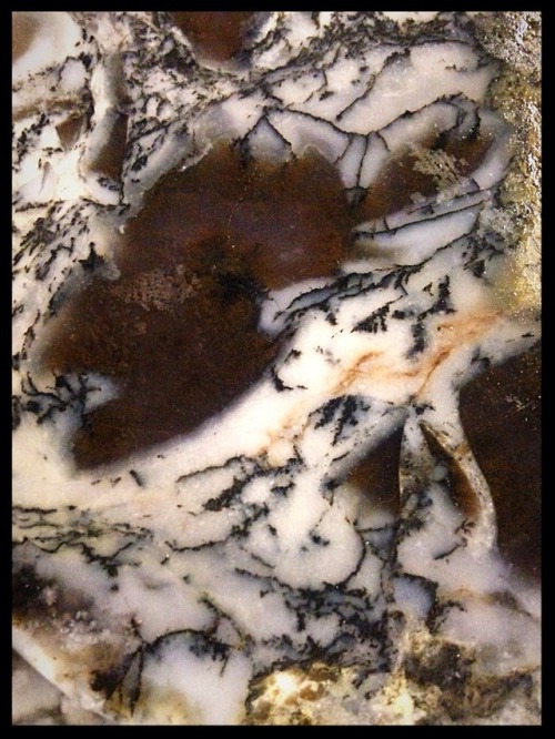 Snake River Dendritic Agate, rare old stock! https://www.etsy.com/listing/619304844/snake-river-dend