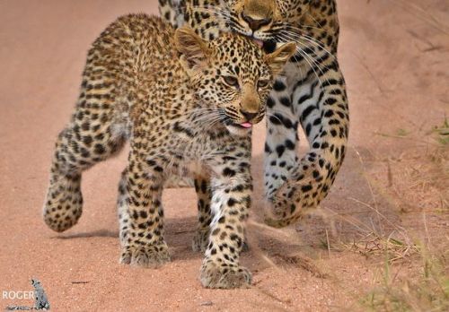 You Never Know What You Can Find When You Take The Time To Slow Down And Appreciate All The Bush Has